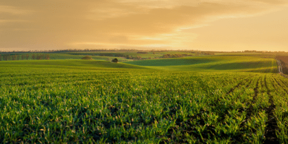 Farmland