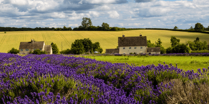 MEES and Rural Estates | Q1 2026