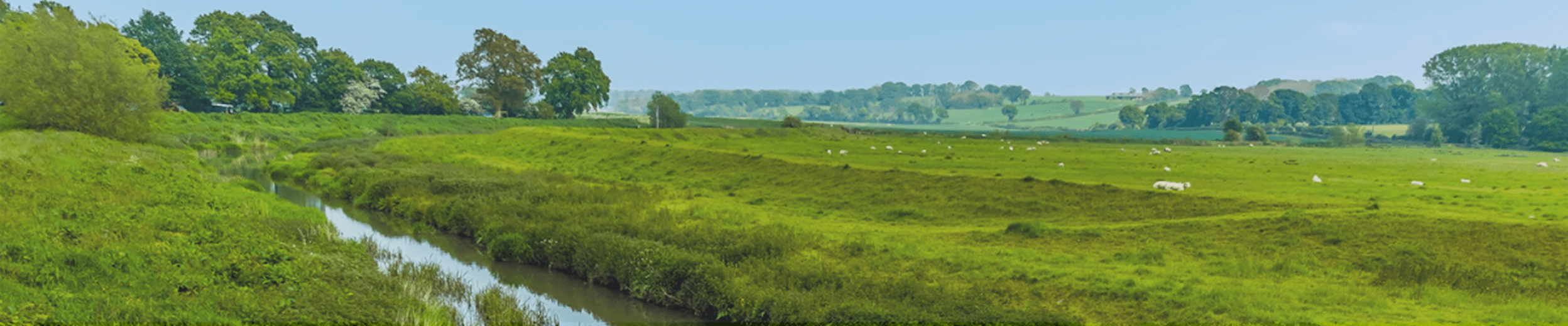 The River Rother, Sussex