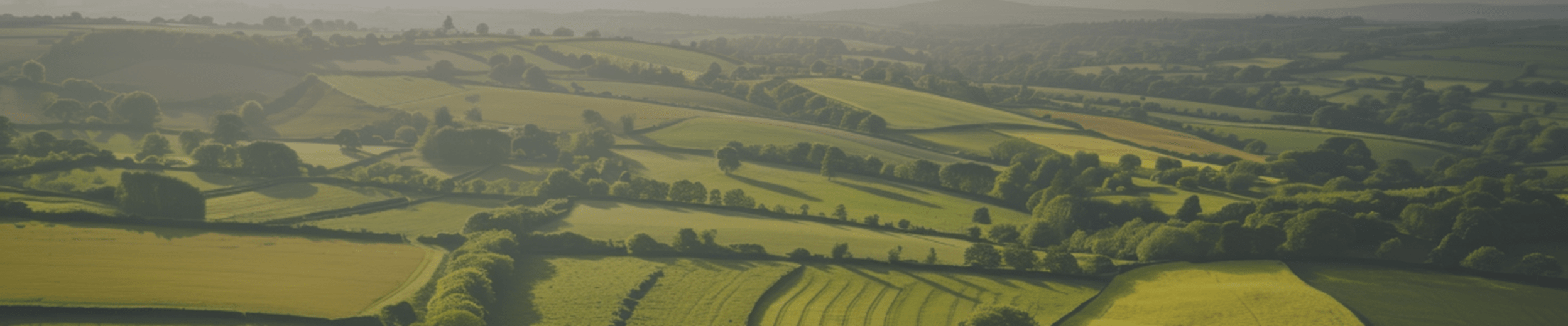 Farmland