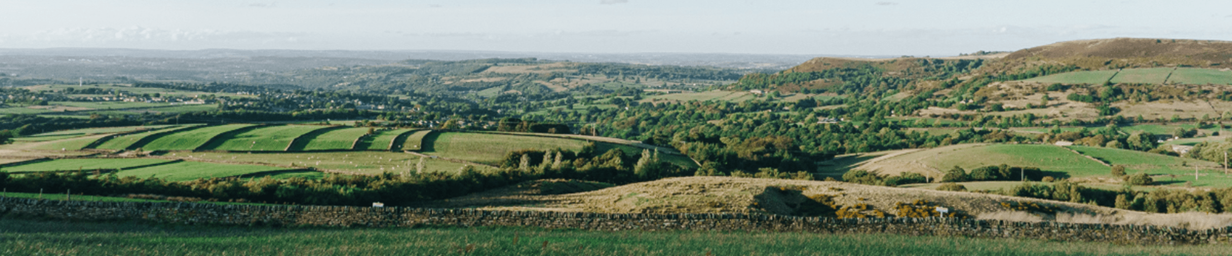 Vast UK farmland