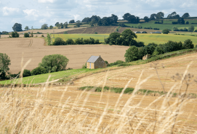 View of land at shooting estate in the Cotswolds
