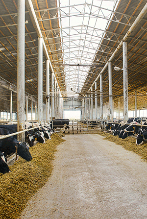 /-/media/images/did-you-know-images/300x447-agricultural-property-relief-farm-building.ashx