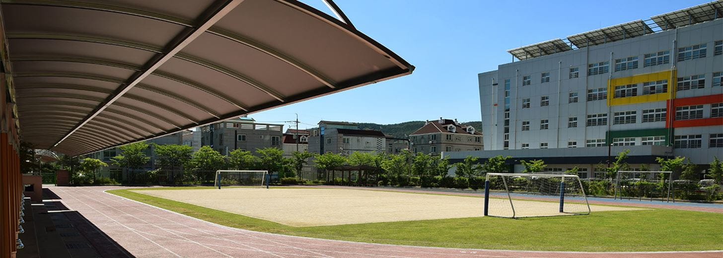 School playing field