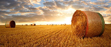 Farm & estate management