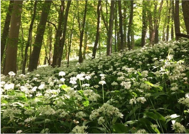 317 Sq Ft , Units At Southernwood Castle, The Rocks SN14 - Available