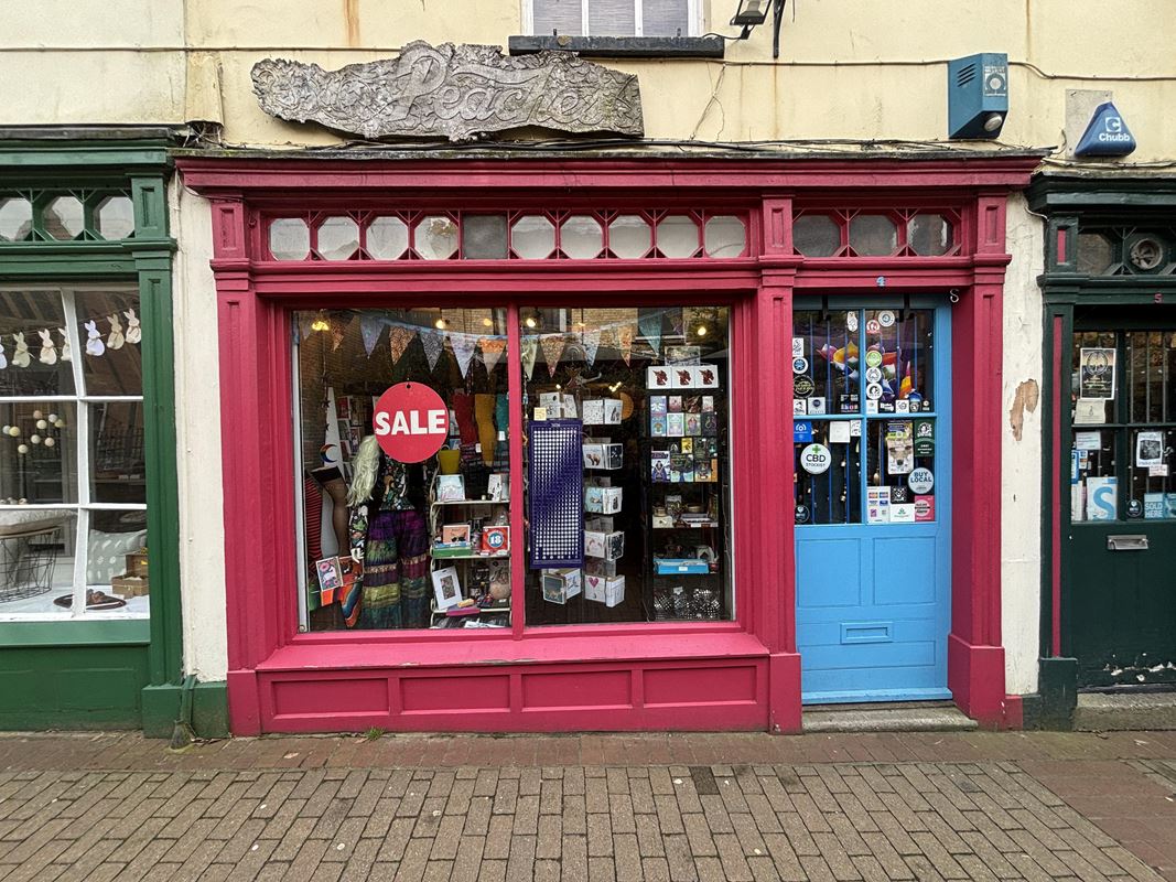  , 4 Bath Place TA1 - Available