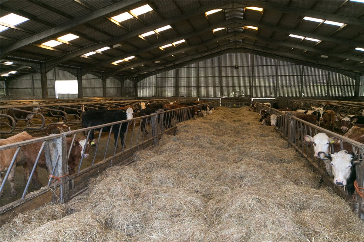 94.1 acres Farm, Tre'r Ddol, Machynlleth SY20 - Sold STC