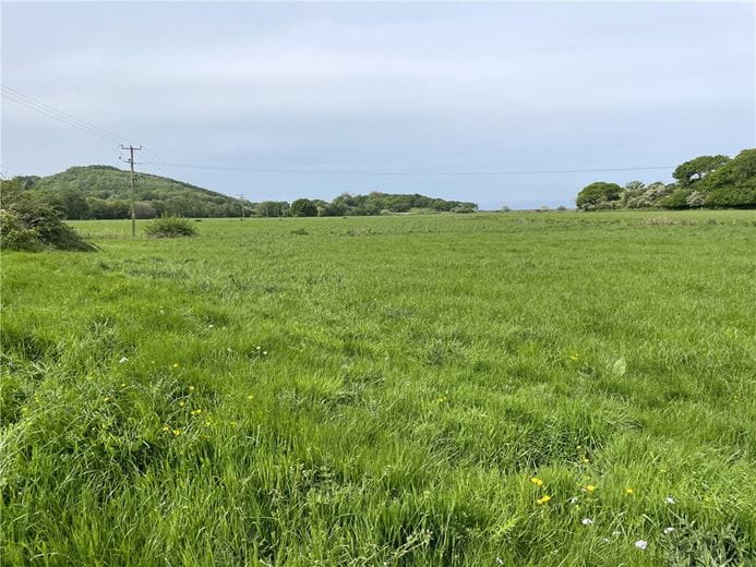 94.1 acres Farm, Tre'r Ddol, Machynlleth SY20 - Sold STC