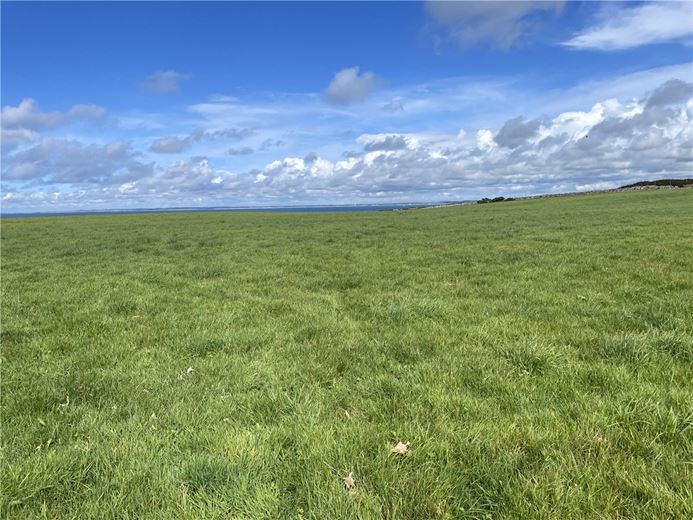 47.7 acres Land, Land At Bachwen, Clynnog Fawr LL54 - Available