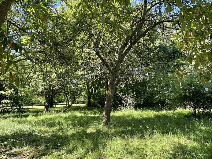 3 bedroom cottage, Box, Corsham SN13 - Sold