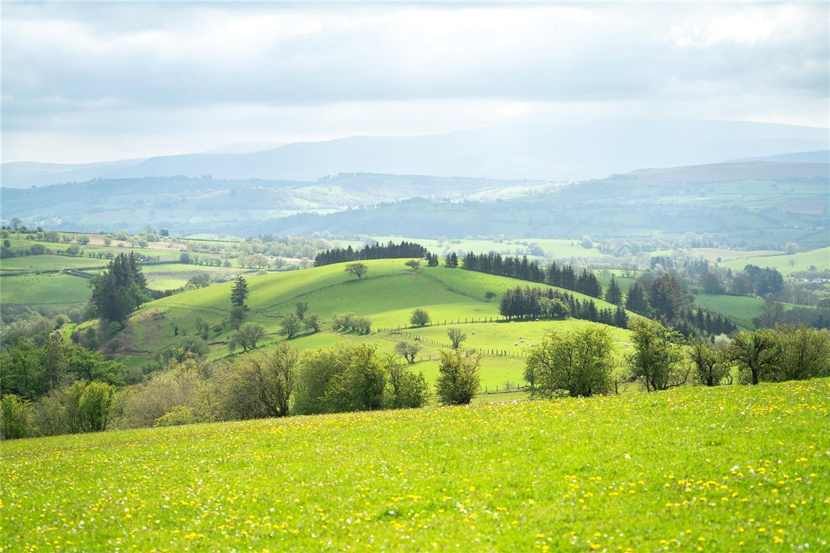 34.3 acres Farm, Pentrefelin, Sennybridge LD3 - Sold