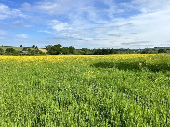 63.7 acres Land, Potterne Wick, Potterne SN10 - Available