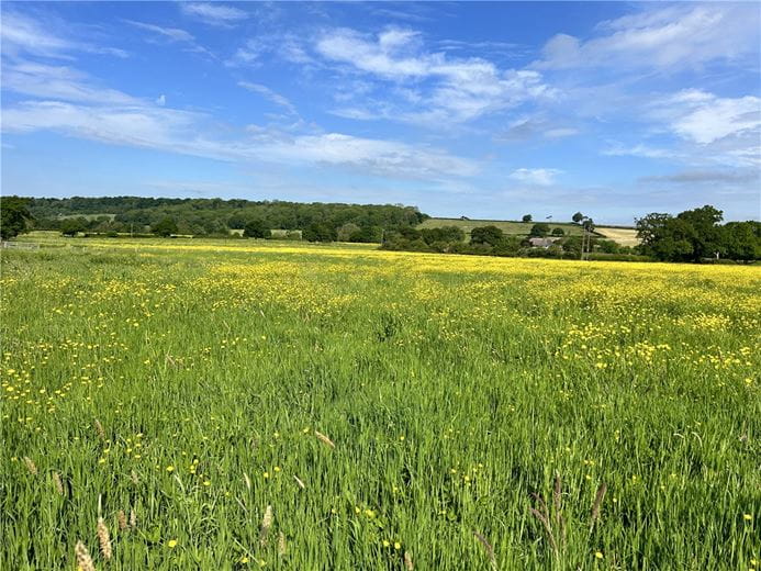 48 acres Land, Potterne Wick, Potterne SN10 - Available