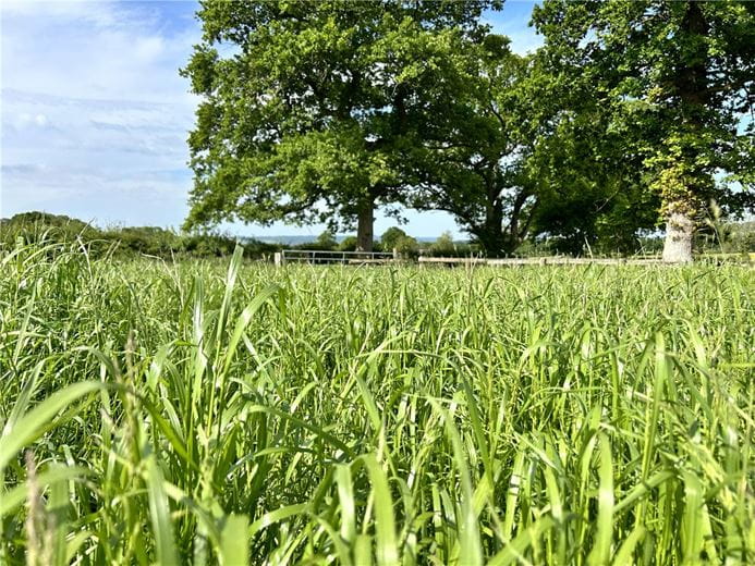 15.8 acres Land, Potterne Wick, Potterne SN10 - Available