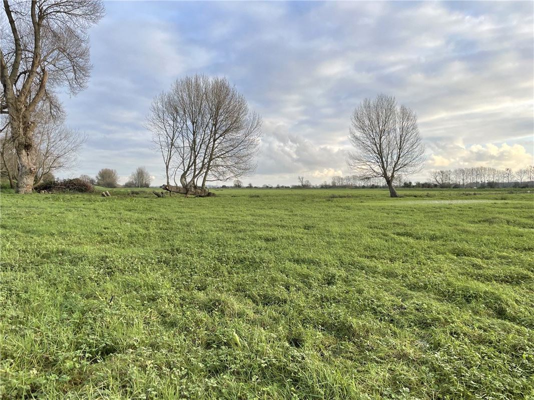 15.9 acres Land, Northover, Glastonbury BA6 - Available