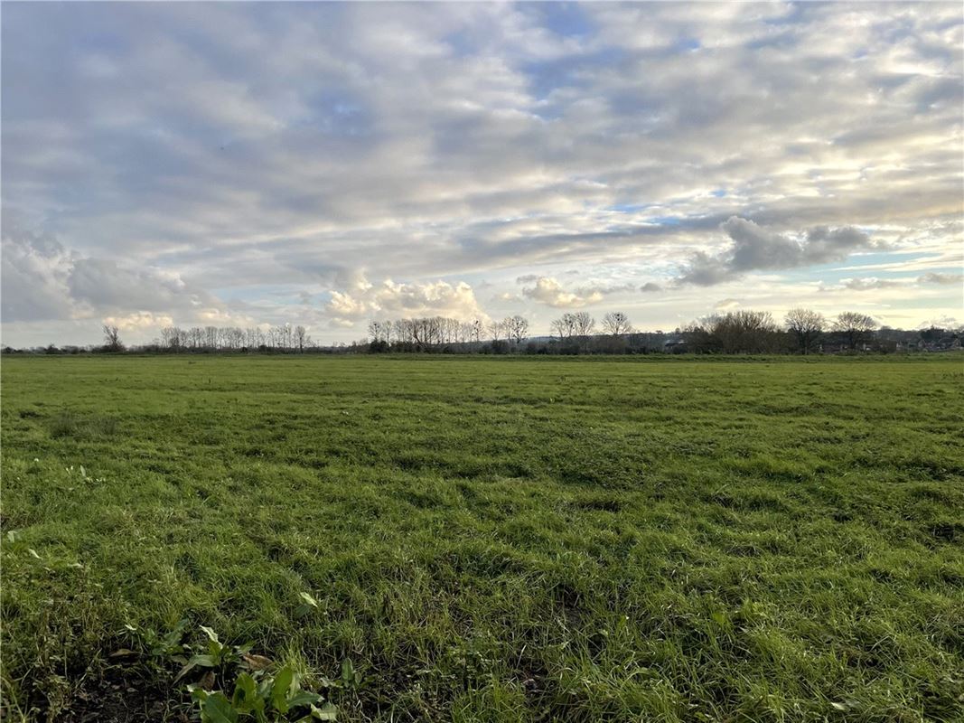 15.9 acres Land, Northover, Glastonbury BA6 - Available