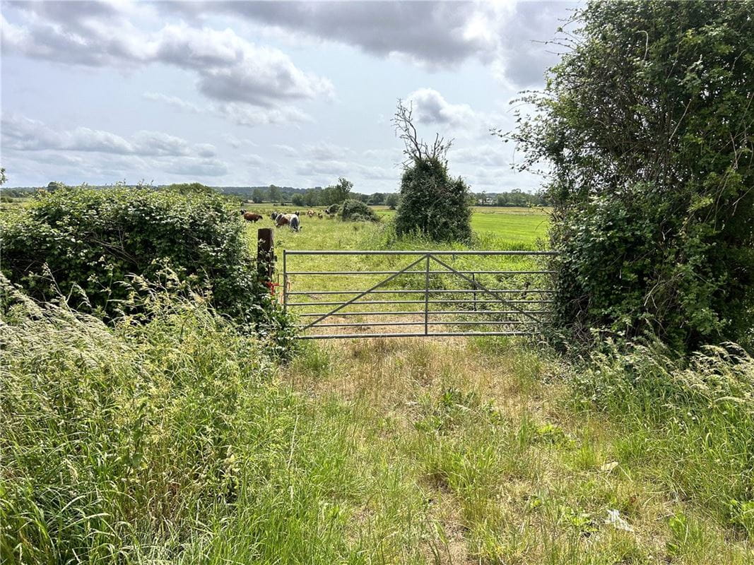 12 acres Land, Street Drove, Street BA16 - Available
