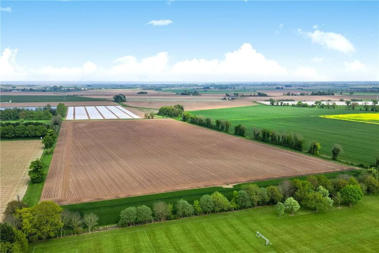 131 acres Land, Hall Marsh Farm, Long Sutton PE12 - Sold