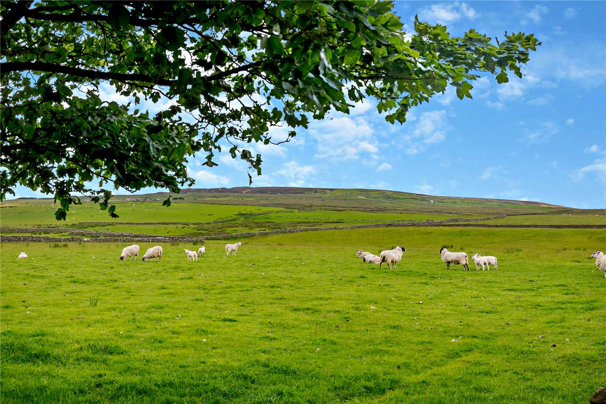 43.3 acres House, Foggerthwaite, Eggleston DL12 - Sold