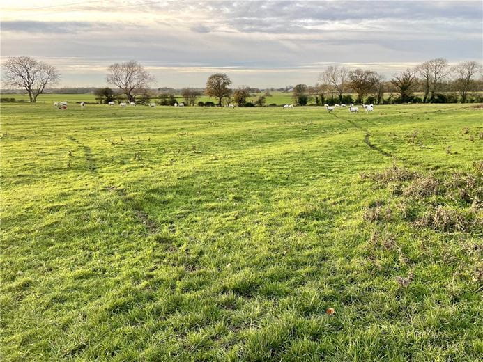  Land, Cawood Road, Stillingfleet YO19 - Available
