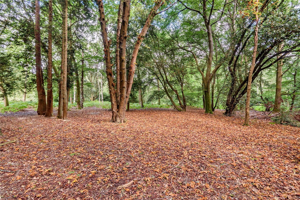 7 bedroom house, Burys Bank Road, Greenham RG19 - Sold STC