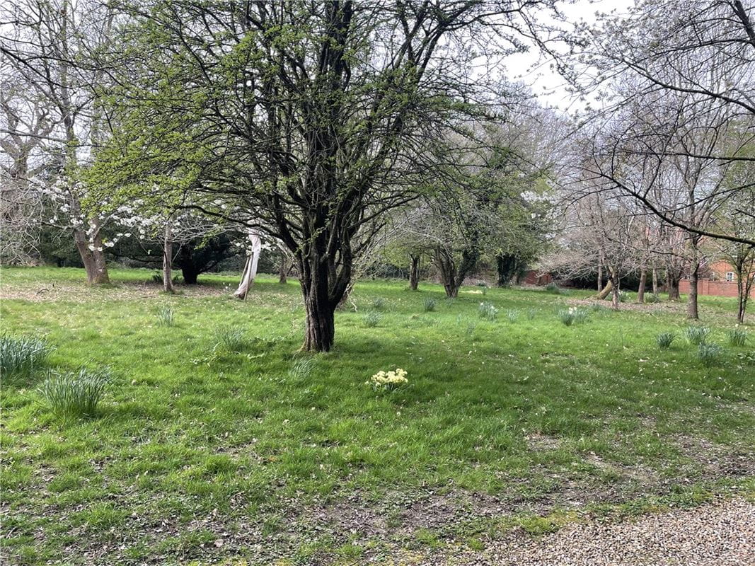  bedroom development plot, Andover Road, Highclere RG20 - Available