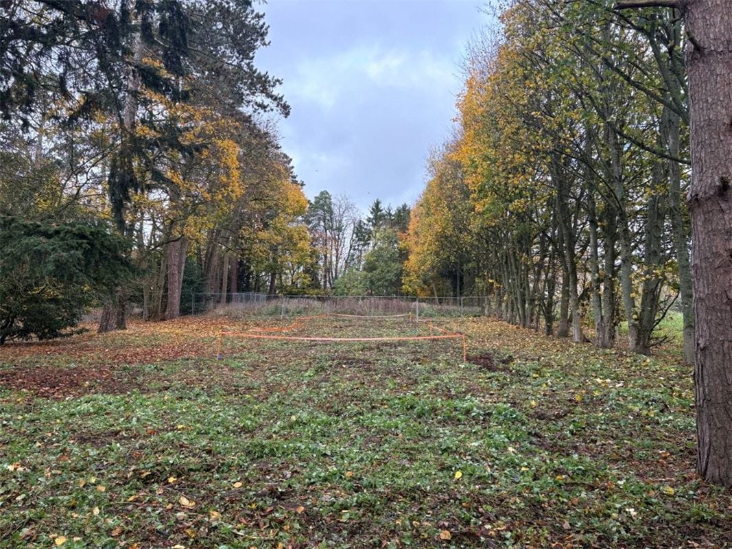  Land, Tudor Avenue, Chieveley RG20 - Available