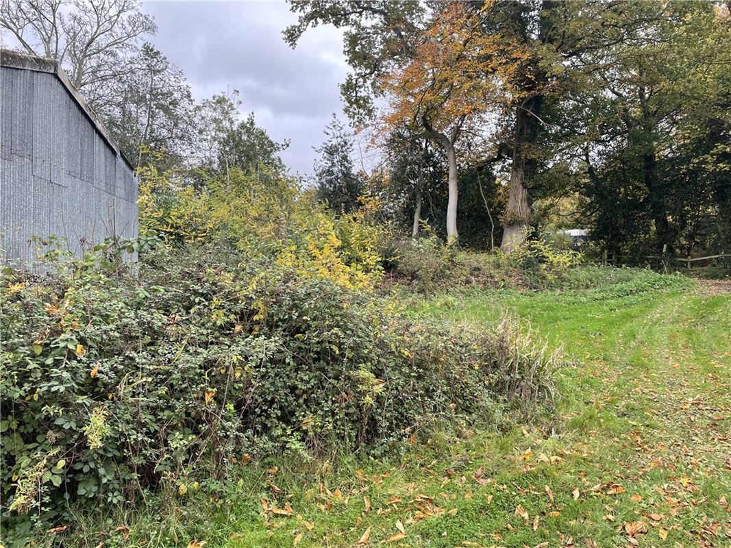  bedroom development plot, Newtown, Newbury RG20 - Available