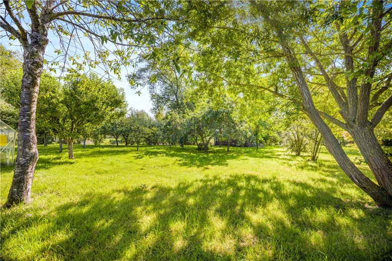 4 bedroom house, Cuddesdon, Oxford OX44 - Available