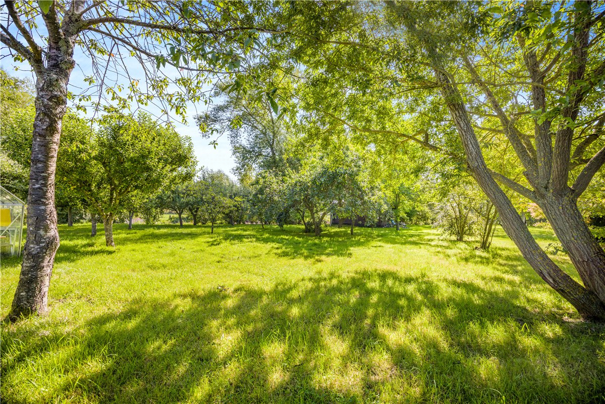4 bedroom house, Cuddesdon, Oxford OX44 - Available