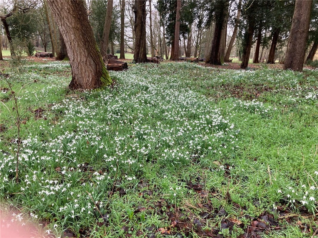 3 bedroom house, Besselsleigh, Appleton, Abingdon OX13 - Available