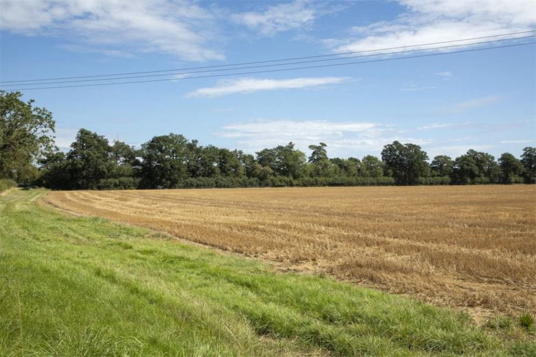 388.9 acres Land, Whitecross Green, Murcott OX5 - Sold