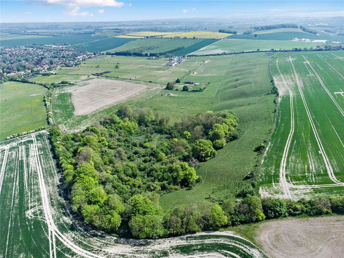 54.2 acres Land, Woodway Road, Blewbury OX11 - Sold STC