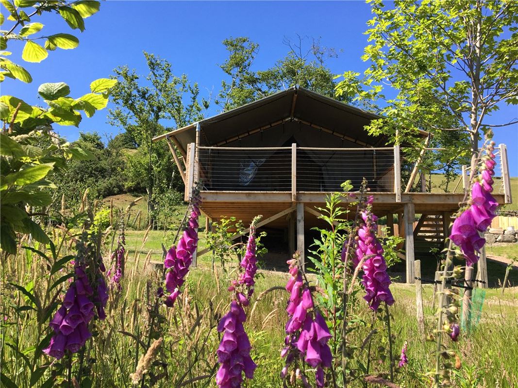  Land, Llangyniew, Welshpool SY21 - Available