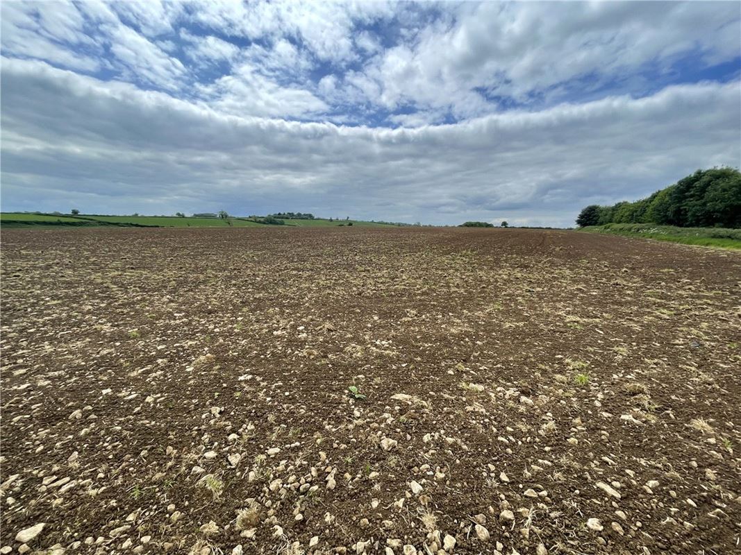 138.8 acres Land, Charlton Road, Holcombe BA3 - Let Agreed
