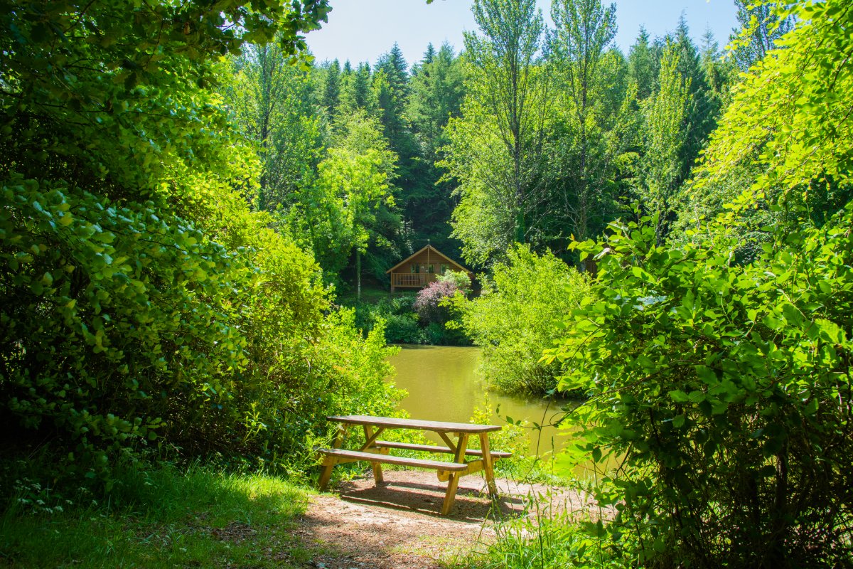 4 bedroom house, Webbery, Bideford EX39 - Available