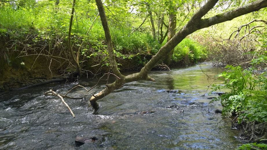 8 bedroom , Buckland Brewer, Bideford EX39 - Available