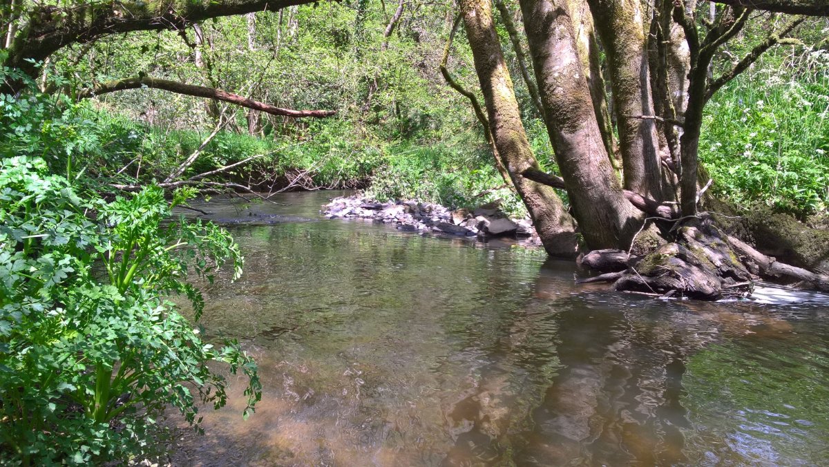 8 bedroom , Buckland Brewer, Bideford EX39 - Available