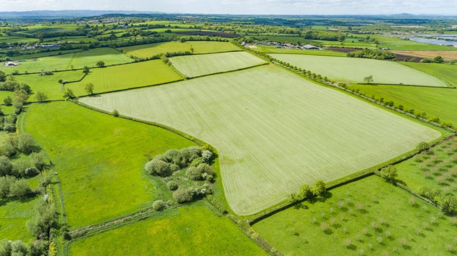 64.6 acres Land, Lot 1: Land At Abbots Sharpham, Glastonbury BA16 - Sold