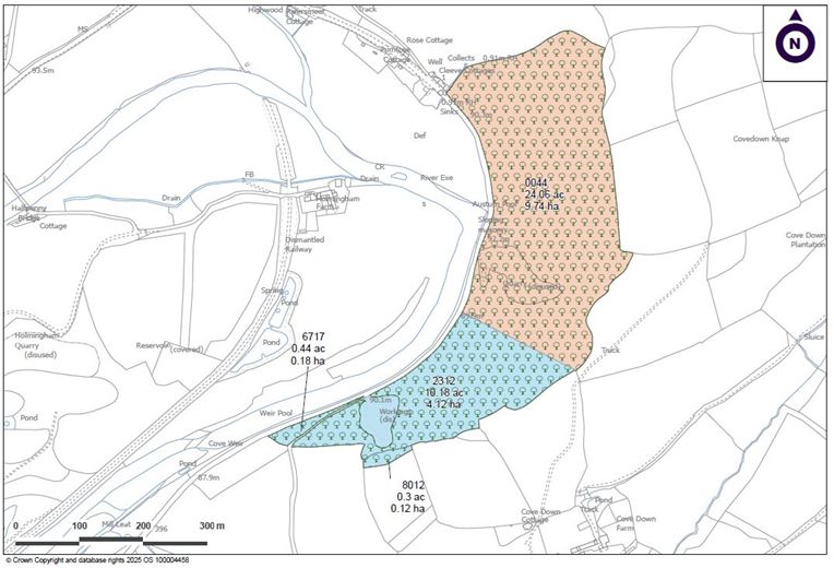 35.5 acres Land, Lot 3: Land At Holmingham Farm, Bampton EX16 - Available