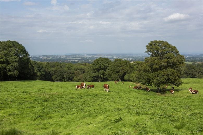 227 acres House, Buckland St. Mary, Chard TA20 - Available