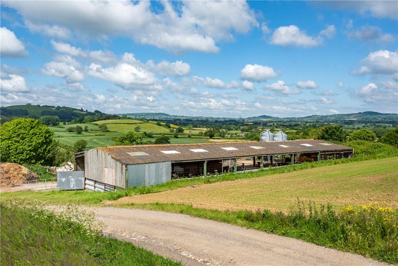 518 acres Farm, Dottery, Bridport DT6 - Sold