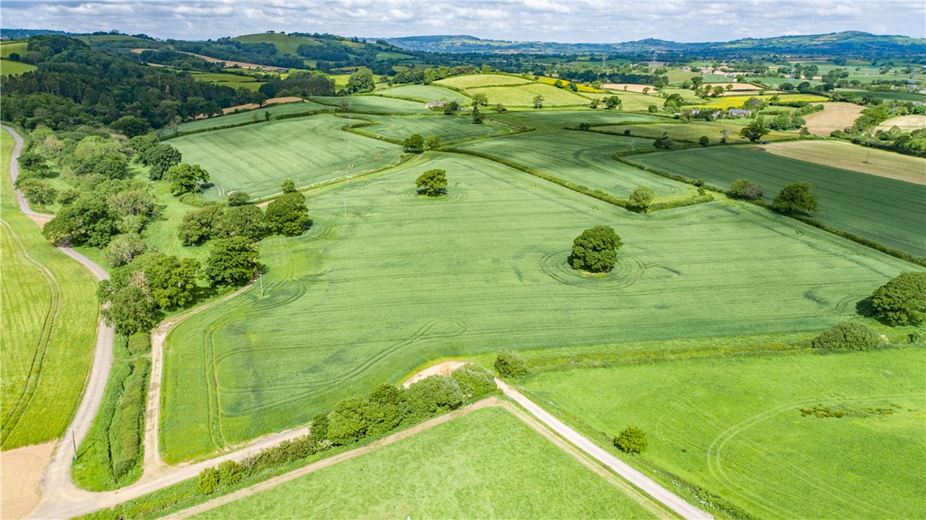 518 acres Farm, Dottery, Bridport DT6 - Sold