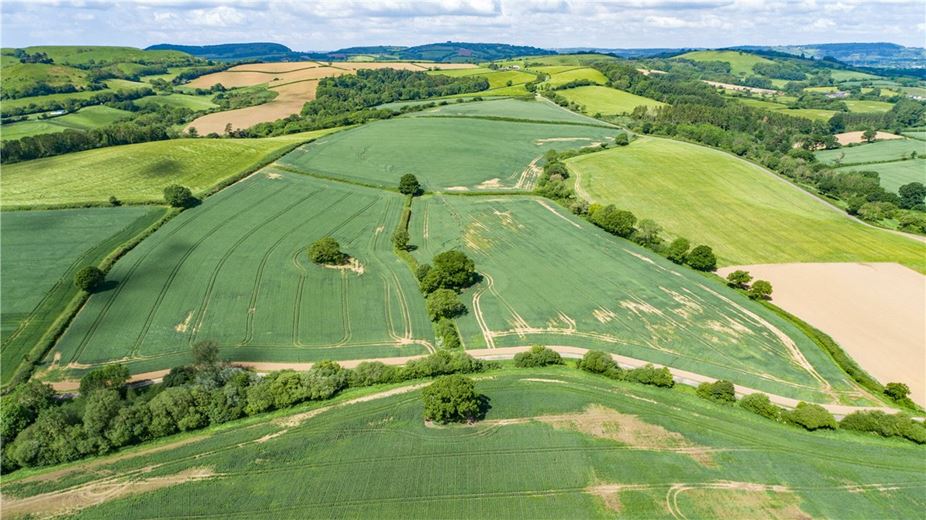 518 acres Farm, Dottery, Bridport DT6 - Sold
