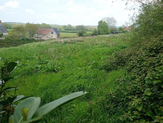 1.1 acres Land, Langport, Somerset TA10 - Sold STC