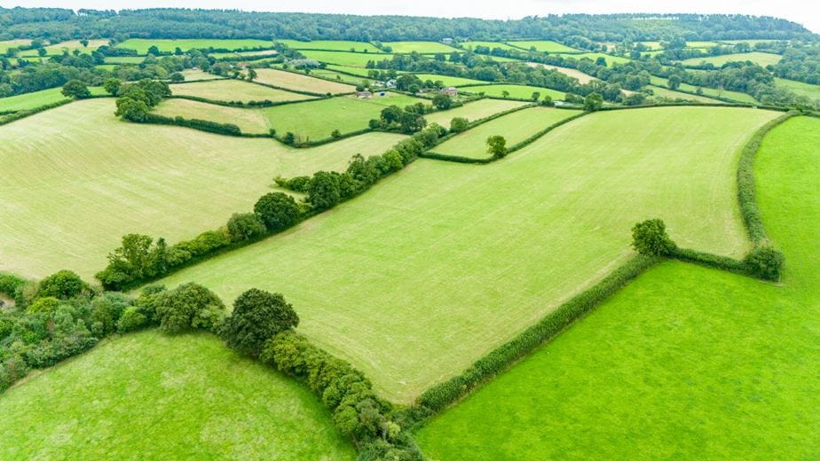 37 acres Land, Land At Higher Coombe Farm, Tipton St. John EX10 - Sold