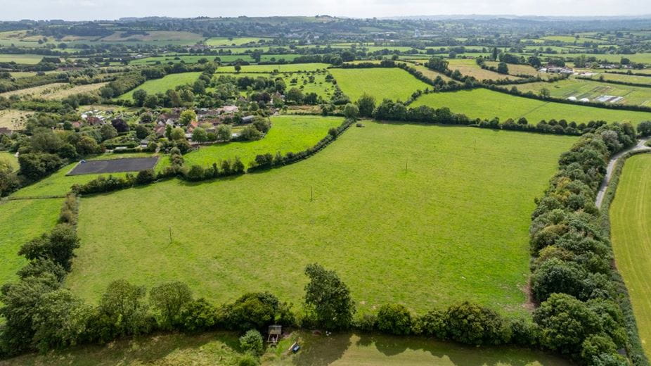 46.1 acres Land, Lot 2: Land At Manor Farm, Alhampton BA4 - Available