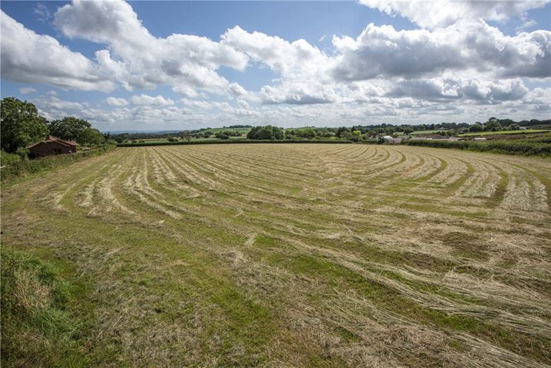 5 acres Land, Lot 4: Land At Splatt Lane, Spaxton TA5 - Available