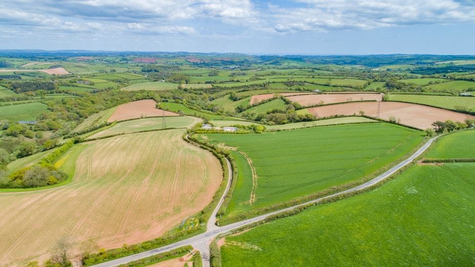 120.1 acres Land, Halwell, Totnes TQ9 - Available